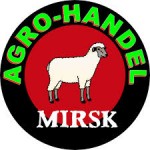 Logo mirsk