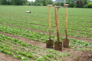 Narzędzia do badania zwięzłości gleby