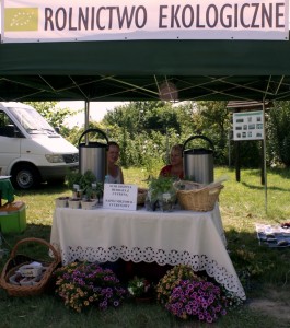 Końskowola DOD