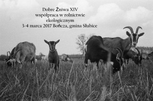 Dobre Żniwa